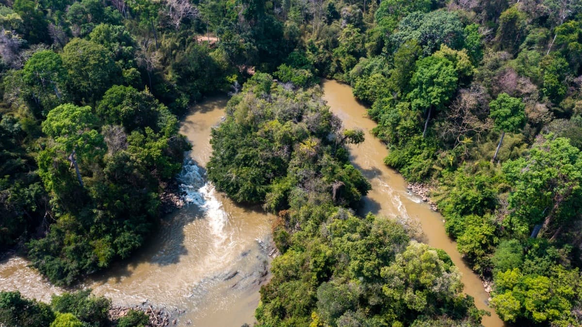 Vườn quốc gia Cát Tiên  - location photo 3