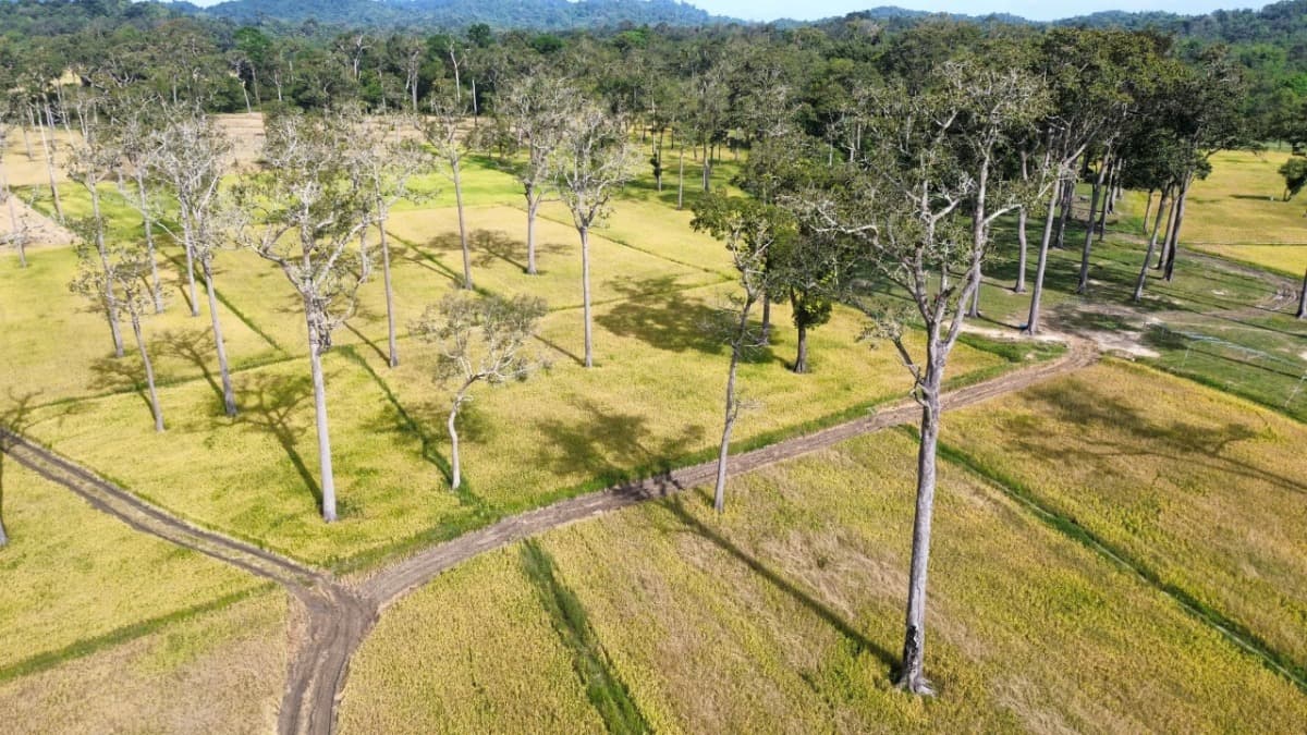 Ta Lai Community Tourism Village