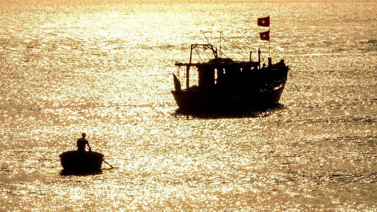 Làng cá Cửa Nhượng - ảnh địa điểm 2