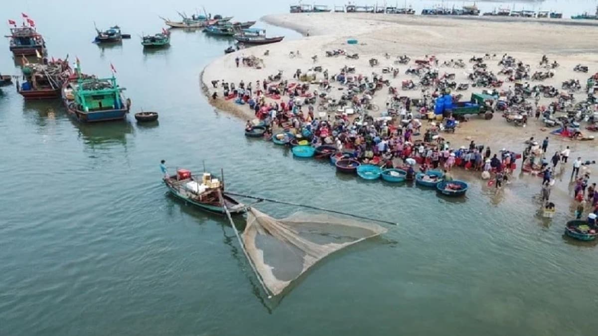 Làng cá Cửa Nhượng - ảnh địa điểm 6