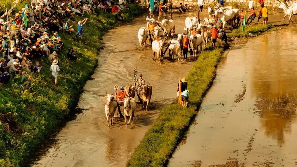 "Trại buôn người” đưa sắc màu văn hóa bản địa lên màn ảnh rộng