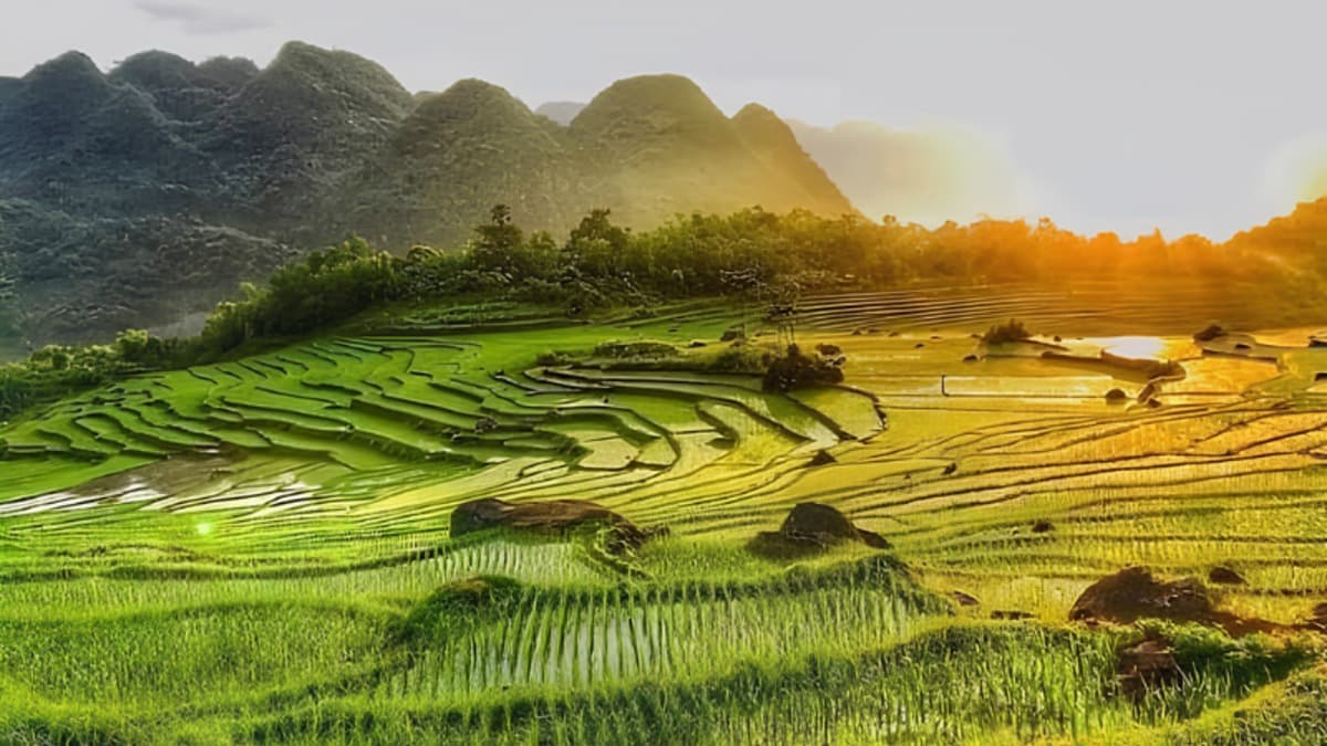 Khu bảo tồn thiên nhiên Pù Luông