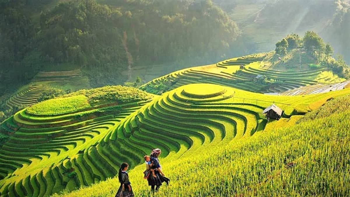 Village de Tả Van