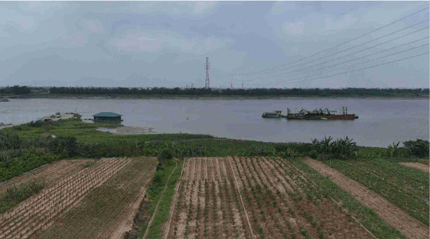 Bãi bồi ven sông Hồng