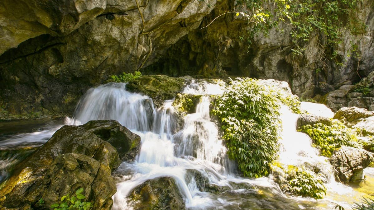 Mo Ga Stream