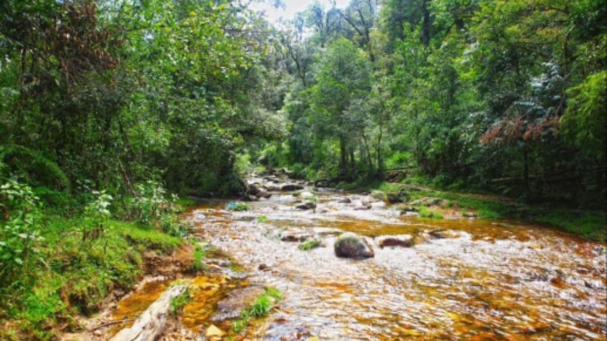 Cascade de l'Amour (Thác Tình Yêu)