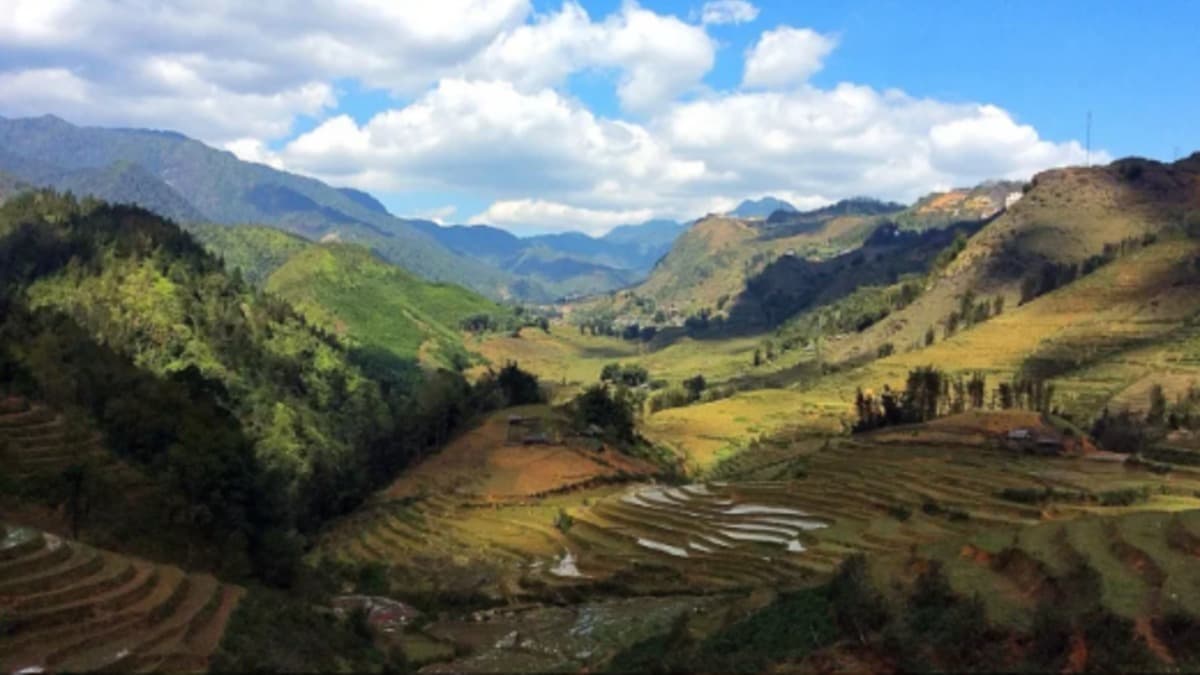 Parc national de Hoàng Liên