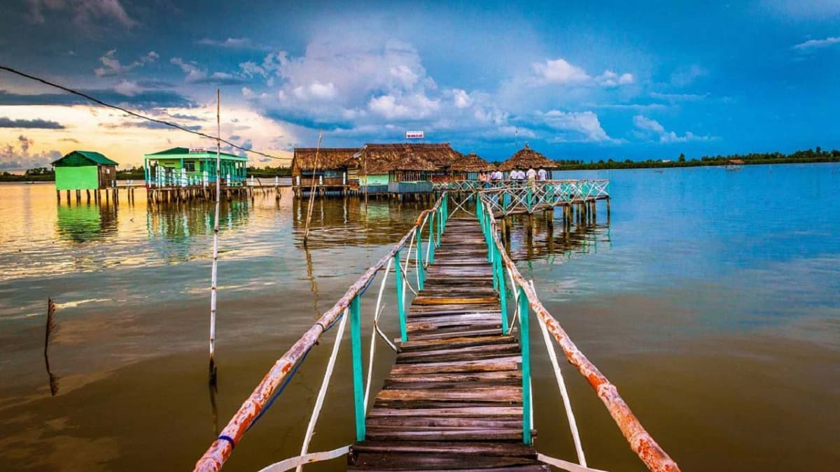 Lagune Thị Tường, Cà Mau
