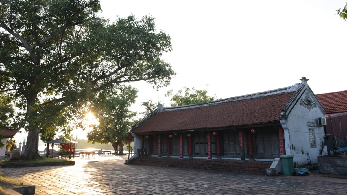 Bãi cọc Bạch Đằng