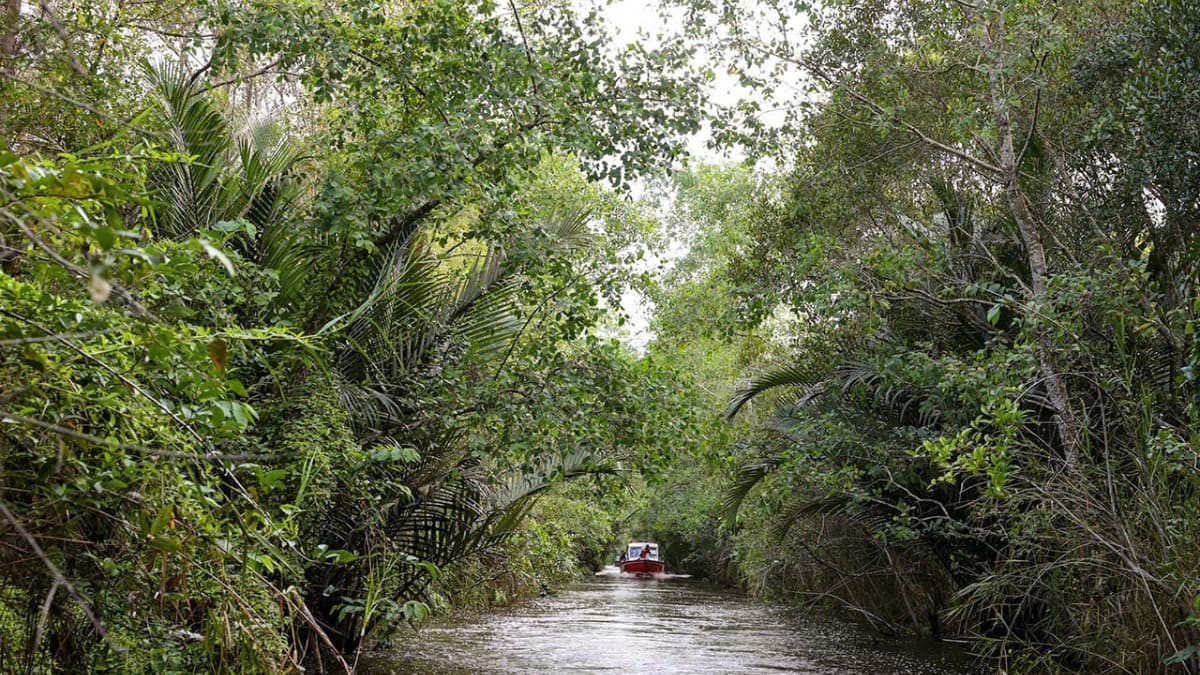 Lung Ngoc Hoang Nature Reserve